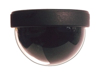 DB350 B/W Ceiling Mount Dome Camera w/RCA Plug