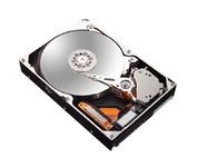 Q-SEE - HDD250GB-QS    -Hard Drive 160GB For Observation System