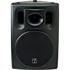 ACE-2012/071-2222-000 - ACE 12'' 2-Way 800-Watt PA Speaker