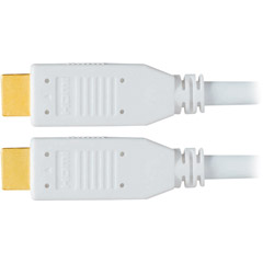 RP-CDHG100 - HDMI Cable