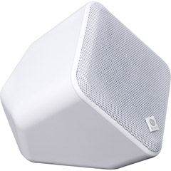 SOUNDWAREW - SoundWare Indoor/Outdoor Coax Speaker