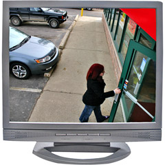 VER-LCD19 - 19'' LCD CCTV Monitor
