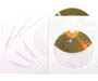 3202-1960 - White CD/DVD Sleeves