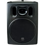 ACE-1515/071-1515-000 - ACE 15'' 2-Way 600-Watt Speaker