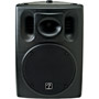 ACE-2012/071-2222-000 - ACE 12'' 2-Way 800-Watt PA Speaker
