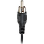 AH41 - 24-Gauge Speaker Wire with RCA Plugs (Black)