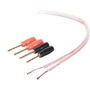 AV23001-100 - 16-Gauge Speaker Wire and Pins