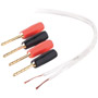 AV23002-100-WH - 18-Gauge Speaker Wire and Pins