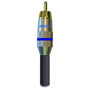 B033C-007B-42 - UltraAudio Digital Audio Cable