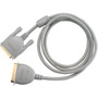 DX128410 - 10' IEEE 1284 Gold Printer Cable