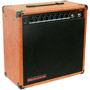 GTA-1260 - Classic Tube Combo Amp with Reverb