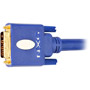 NX-0401D - Custom Series DVI-D Cables