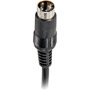 PH61141 - Video Cable