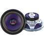 PLWB-128 - Blue Cone High Powered Subwoofer