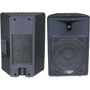 PPHP-1290 - 12'' Two-Way Plastic Molded Loudspeaker