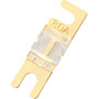 RMANL80-5 - Gold Series AGU Fuses