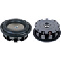 STW-10 - Silver Edition 10'' Shallow Mount Subwoofer