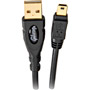 USBAMB5P6 - Gibson Pure Gold USB Cable