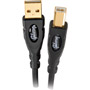 USBAMBM6 - Gibson Pure Gold USB Cable